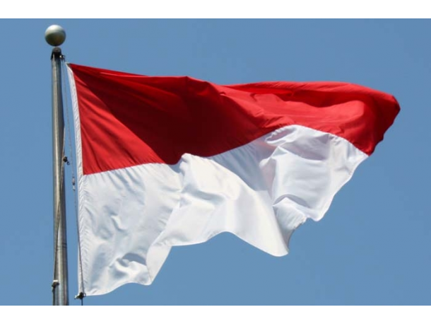 印尼政府计划未来4年内新建或扩建24个港口-航