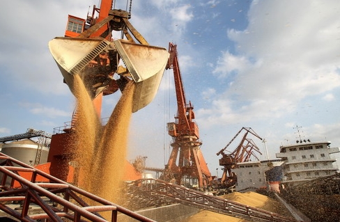 6月份中国大豆进口量同比增长26.6%-航运界