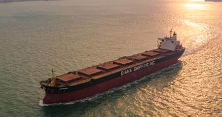  资料来源：DIANA SHIPPING 
-电子烟出口物流