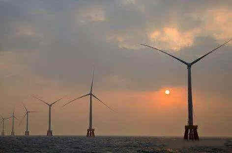 其中僅2022年第一季度虧損額就近15億美元
-cosco海派